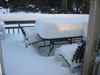 Winter Day